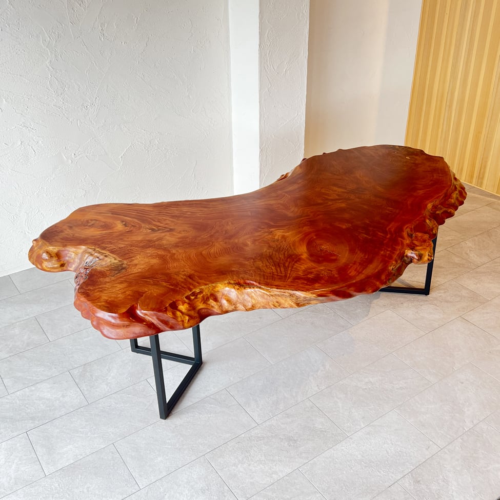 ケヤキ（RC691ST078）